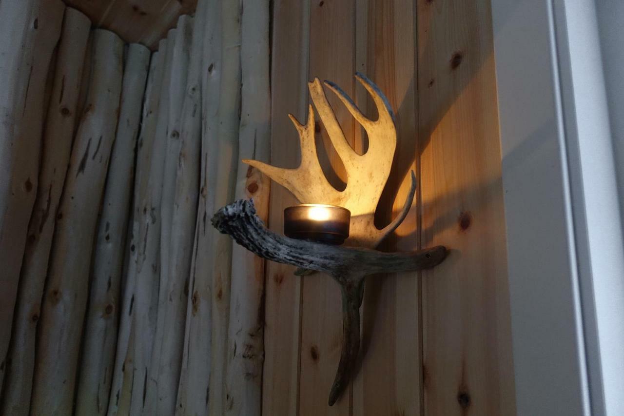 Wild Caribou'S Wildwood Cabin Lakselv Exteriér fotografie